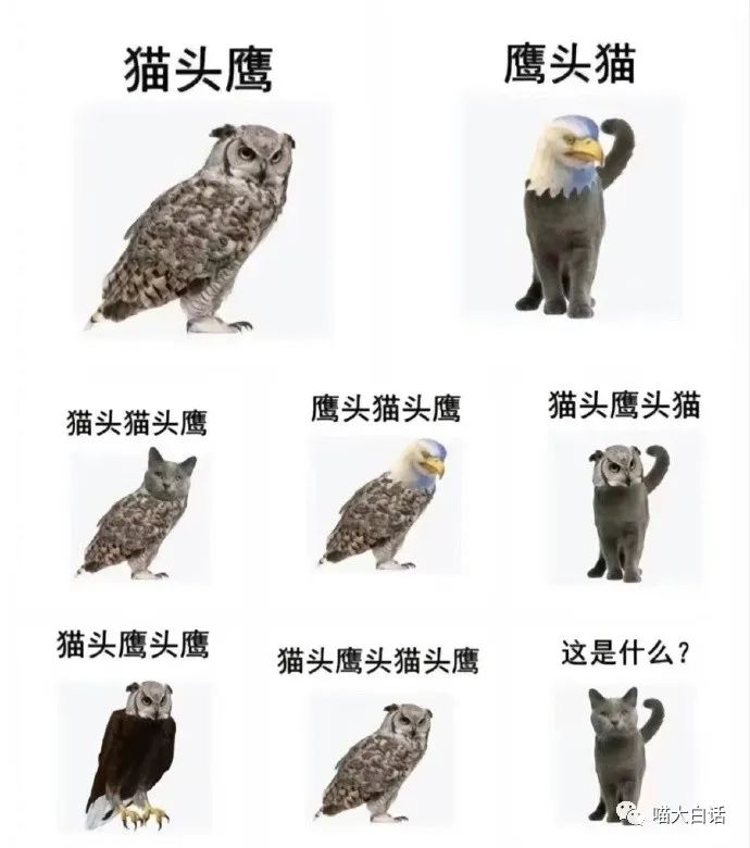 “写网文发现忠实粉丝竟是闺蜜?”哈哈哈哈哈感天动地姐妹情!