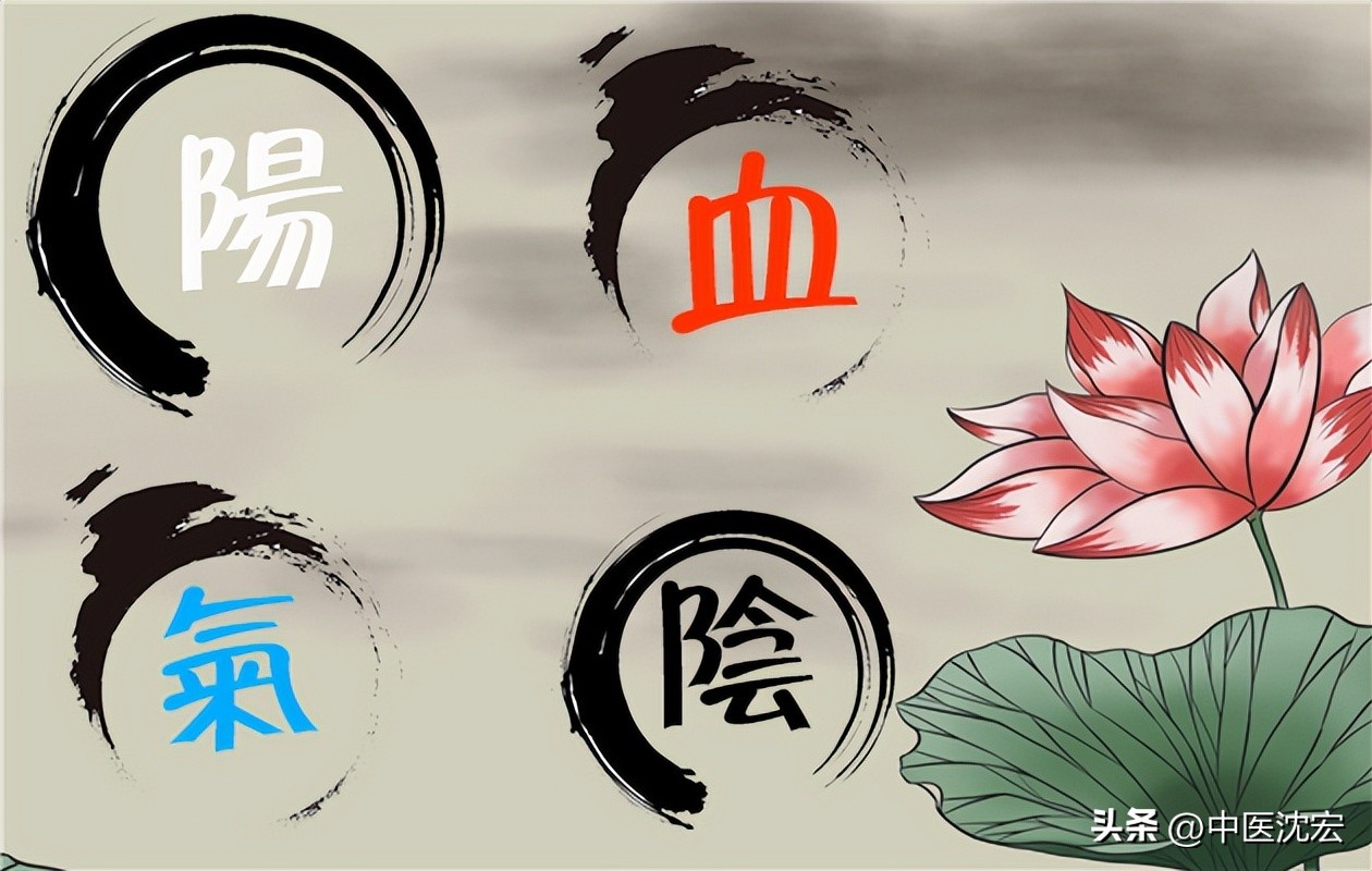 提高免疫力补气泡水喝的中药,一个补阳气的方子三味中药