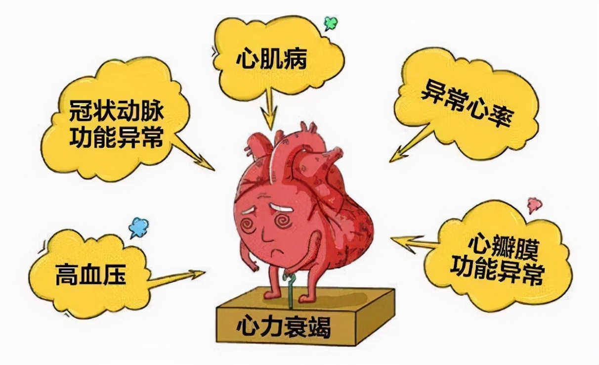 血瘀心力衰竭,心力衰竭引起水肿中药调理