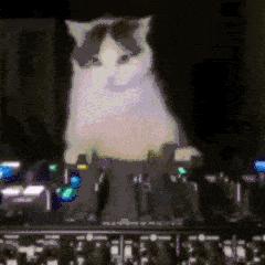 麦当劳早餐板烧鸡腿堡测评,麦当劳定制板烧鸡腿堡