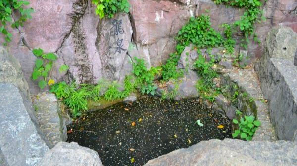 宋高宗赵构杭州,浙江王阳明的故居