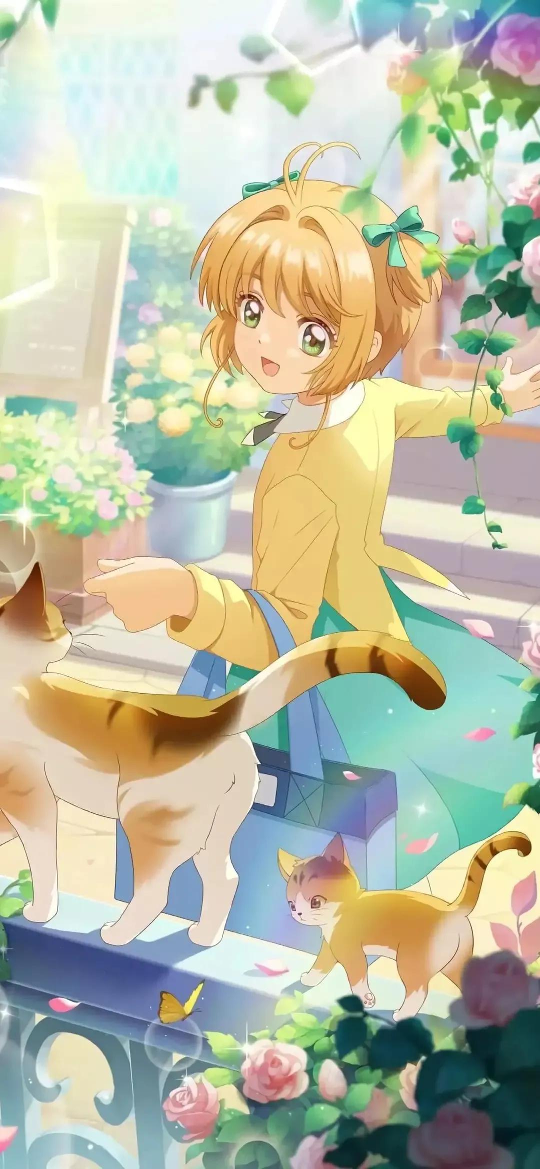 歼20高清壁纸4k全屏无水印,精选壁纸高清无水印高级感