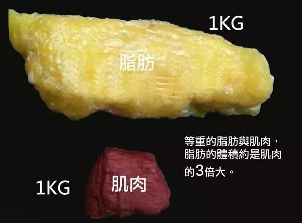怎么减大象腿和屁股赘肉,大象腿赘肉多