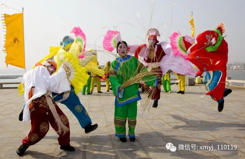 长毛的鸡肉丸子,淹制的鸡肉有点长毛还能吃吗