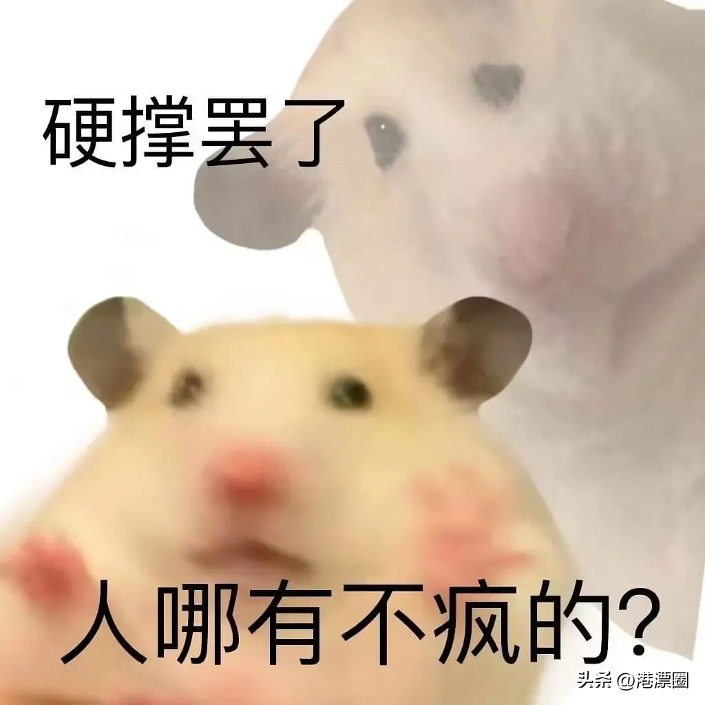 花了一千万在香港买了房子,一对夫妻在香港花了206万买房子