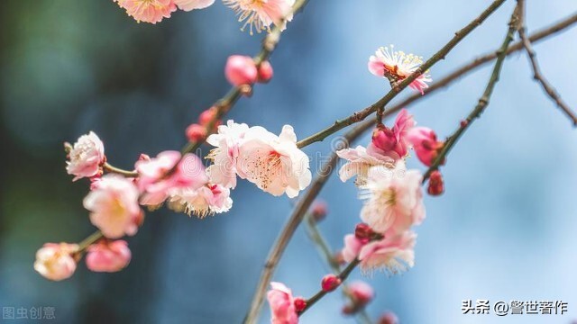 七律诗十首爱国,七律祖国诗