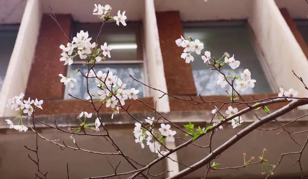 趣味答题赛介绍,趣味答题活动报道