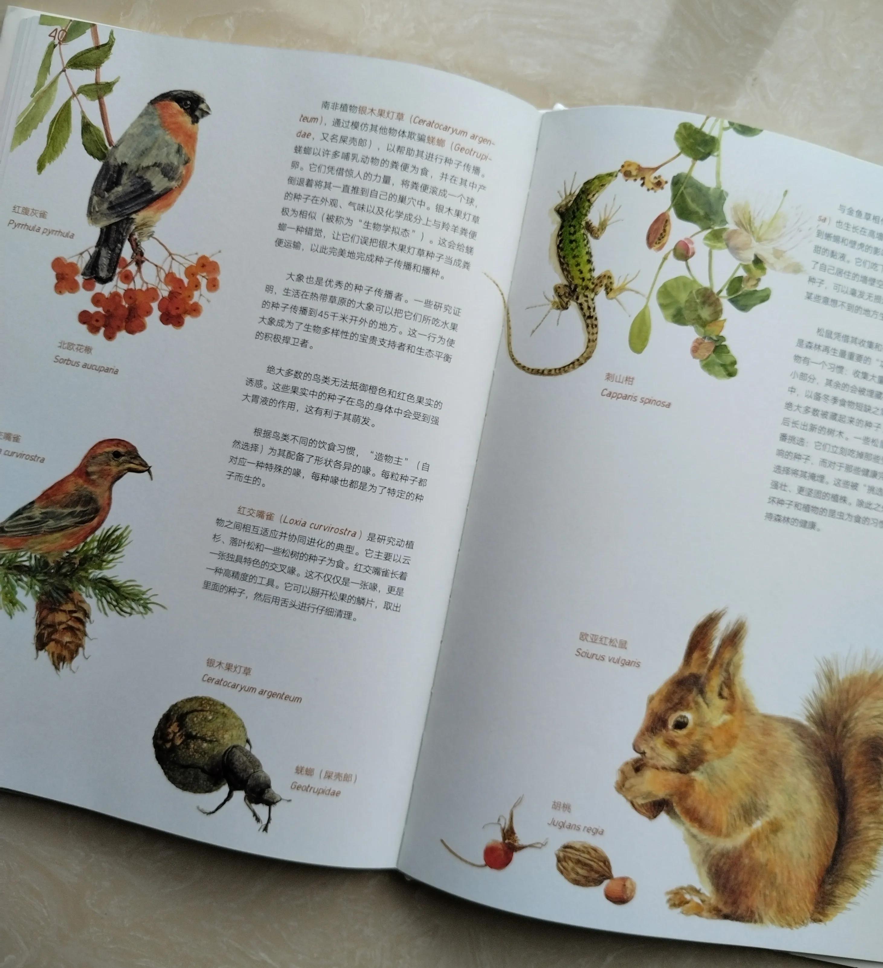 鎺㈢储鑷劧鐨勫ゥ绉樻劅鍙楃敓鍛界殑绁炲,鎴戜滑璧拌繘澶ц嚜鐒舵帰瀵荤敓鍛界殑婧愭硥