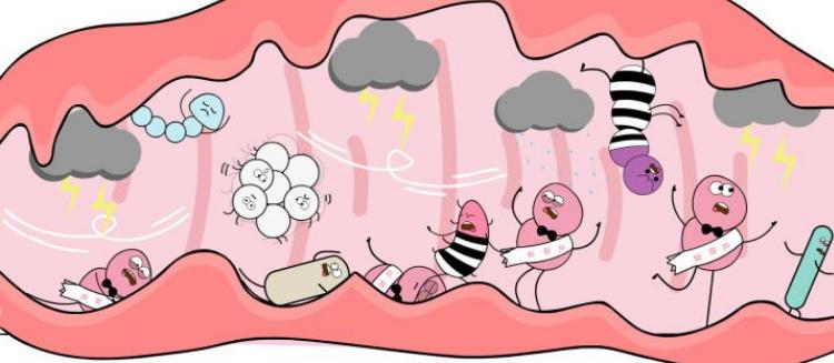 除了HPV，妇科炎症也会引起宫颈癌？