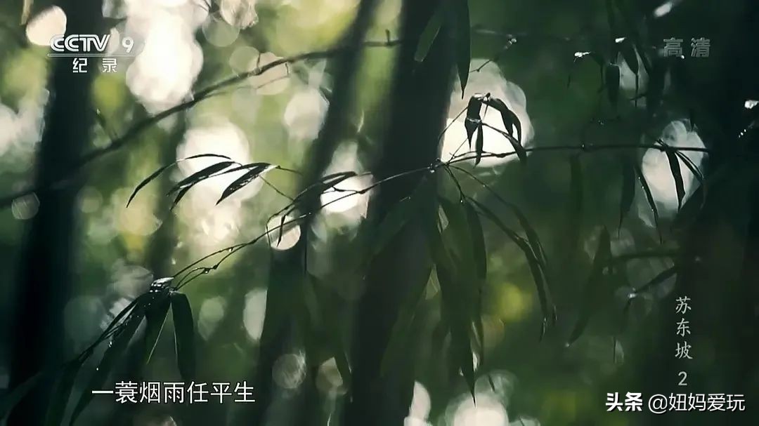 带你真切看人间的宝藏纪录片top10,十一长假适合带孩子看的纪录片