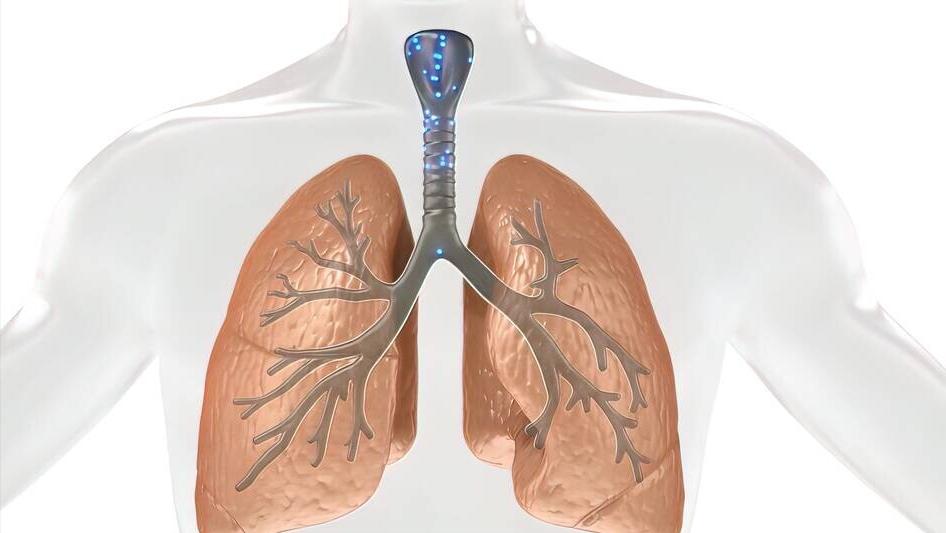 新冠“治疗”新药千金藤素是啥？此药会终结疫情吗？专家说出实情