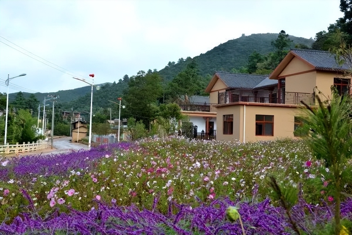 奋进新时代建功新征程走进老区,泸西红土地