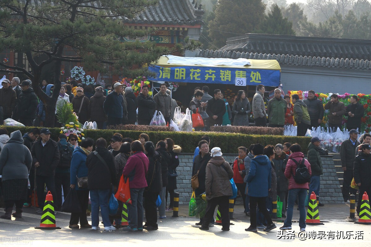 清明网上祭扫你准备好了吗,清明各地祭扫最新要求