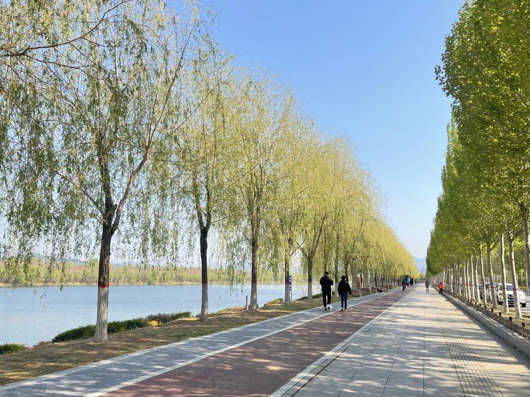 漫步南沙河，又是被“圈粉”的一天