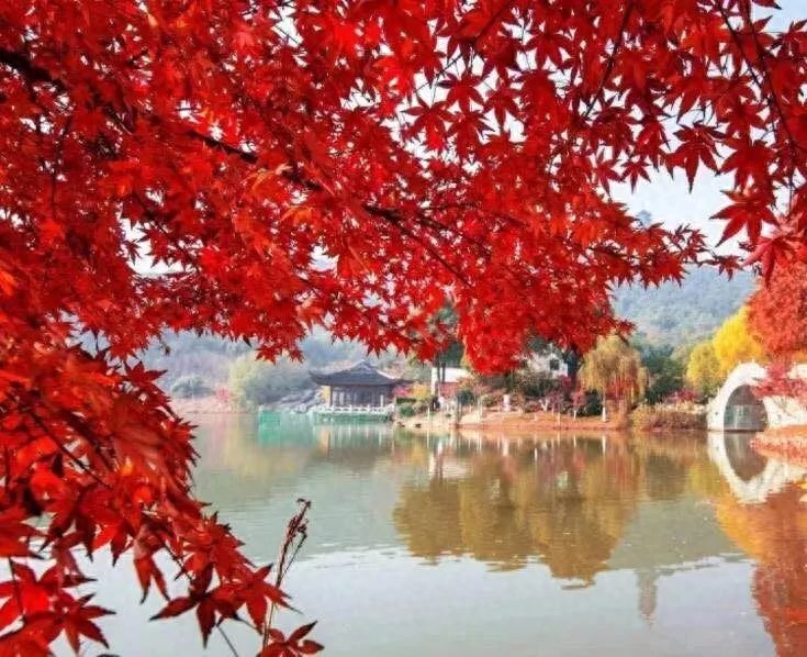苏州秋天的美,一起感受秋天的苏州
