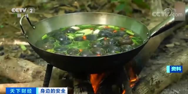 福寿螺寄生虫病例,福寿螺寄生虫感染人体途径