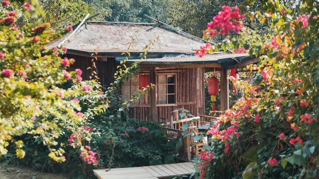 清远九州驿站树上温泉是真的吗,清远九州驿站