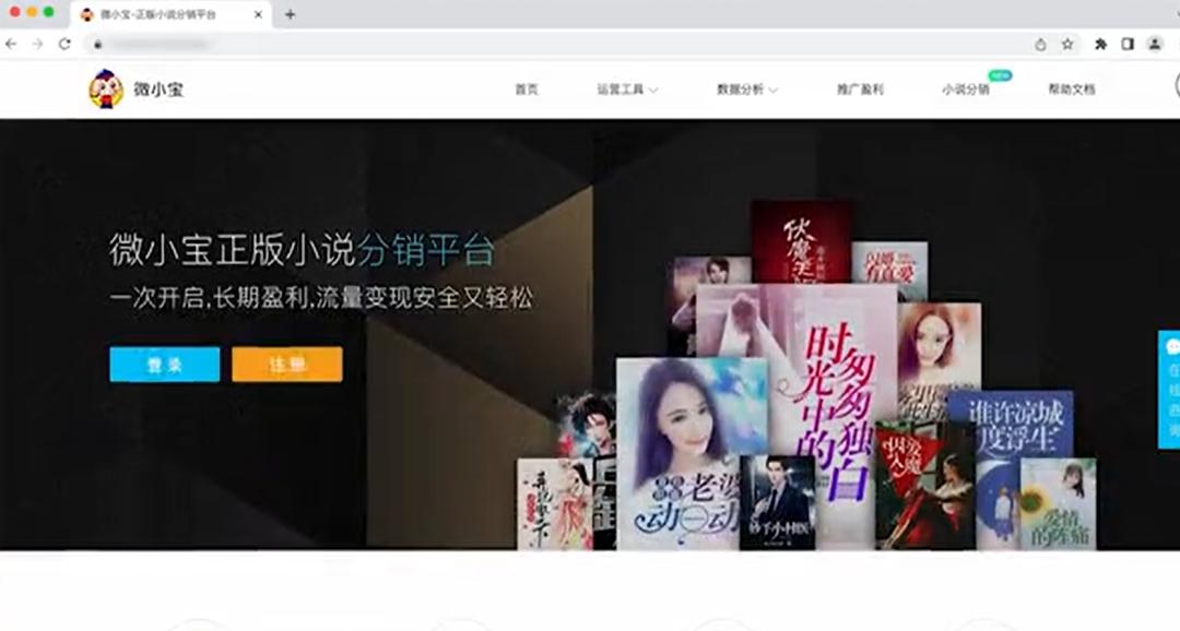 小说分销的模式有哪些,小说分销现在该怎么做