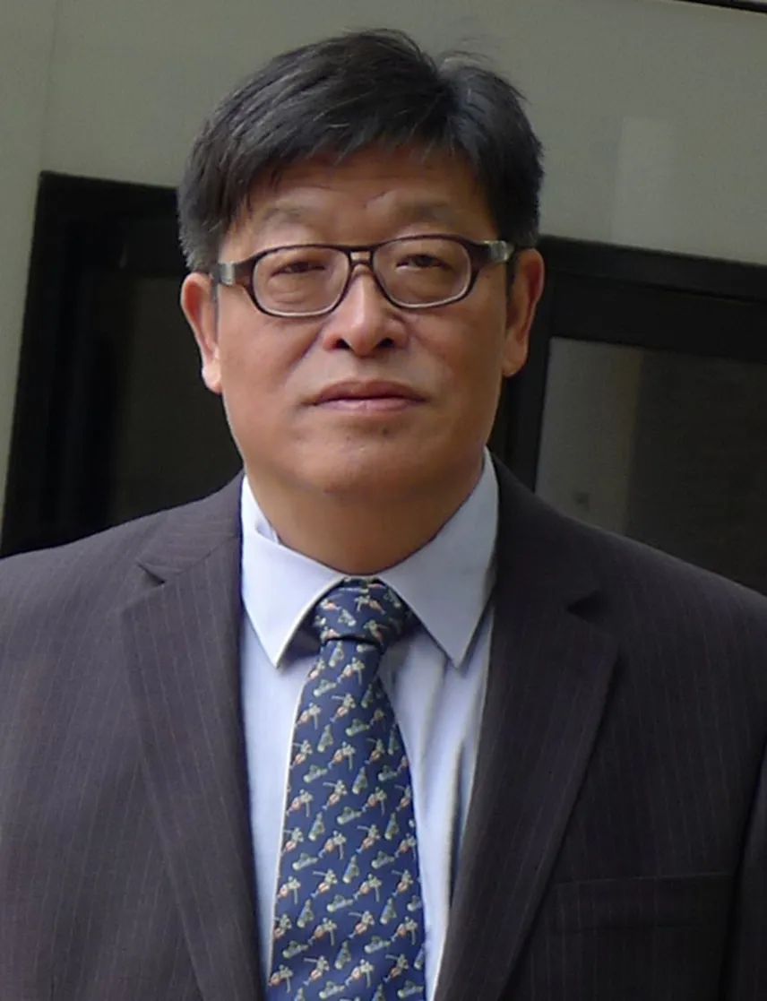 阐述新疆自古属于中国的史实,为什么说西域自古以来是中国领土