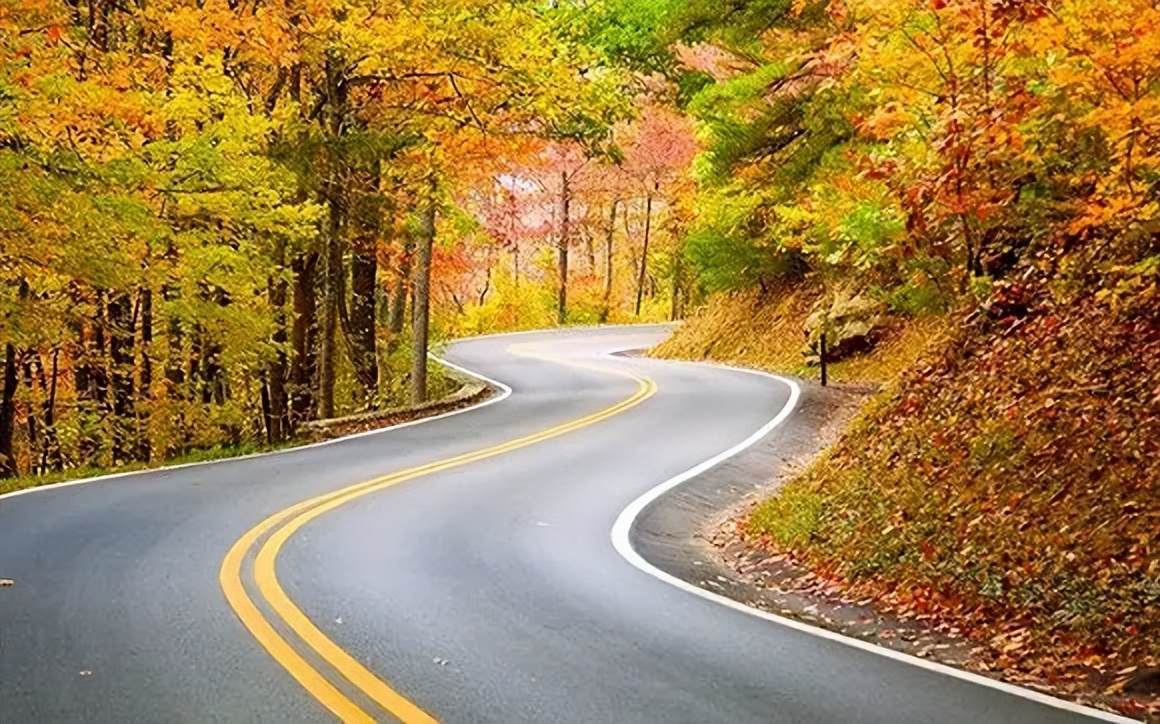 翰林国粹诗社才子刊031期,翰林国粹诗社第196期