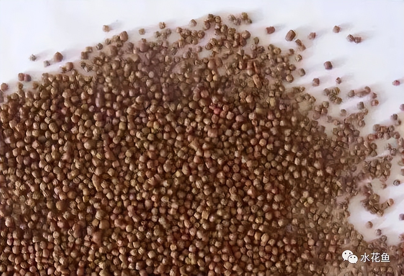 各种养殖鱼饲料需要的脂肪含量,鱼类饲料中需要哪些添加剂成分