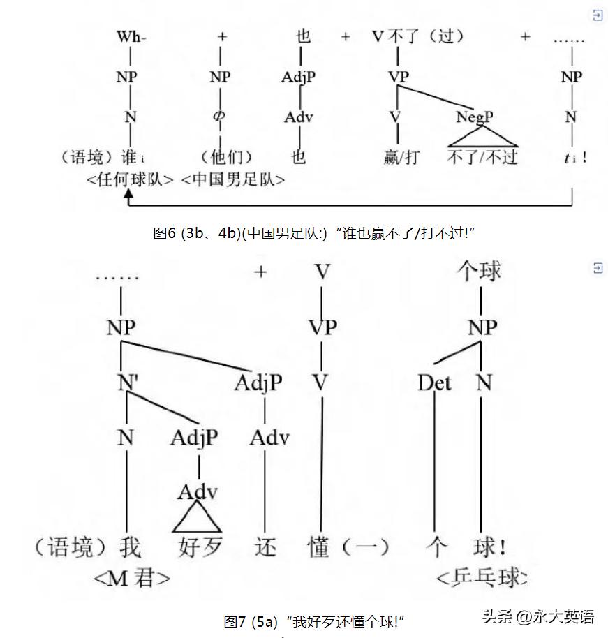 生成语法的发展阶段,生成语法与普遍语法