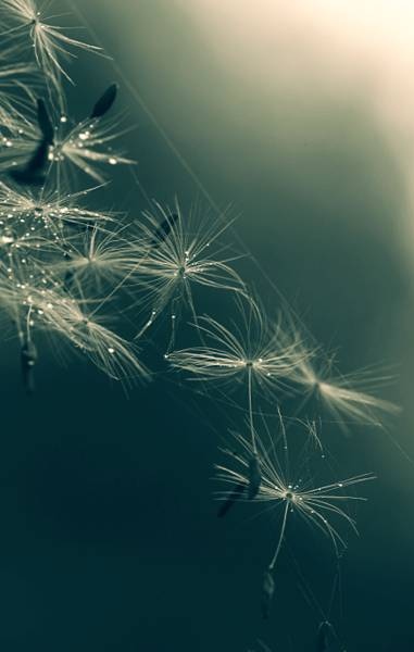 散文简单活着就是人生的精致,散文人心简单了就幸福