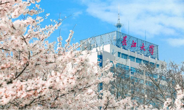 湖北大学进步神速,湖北省武大华科名次