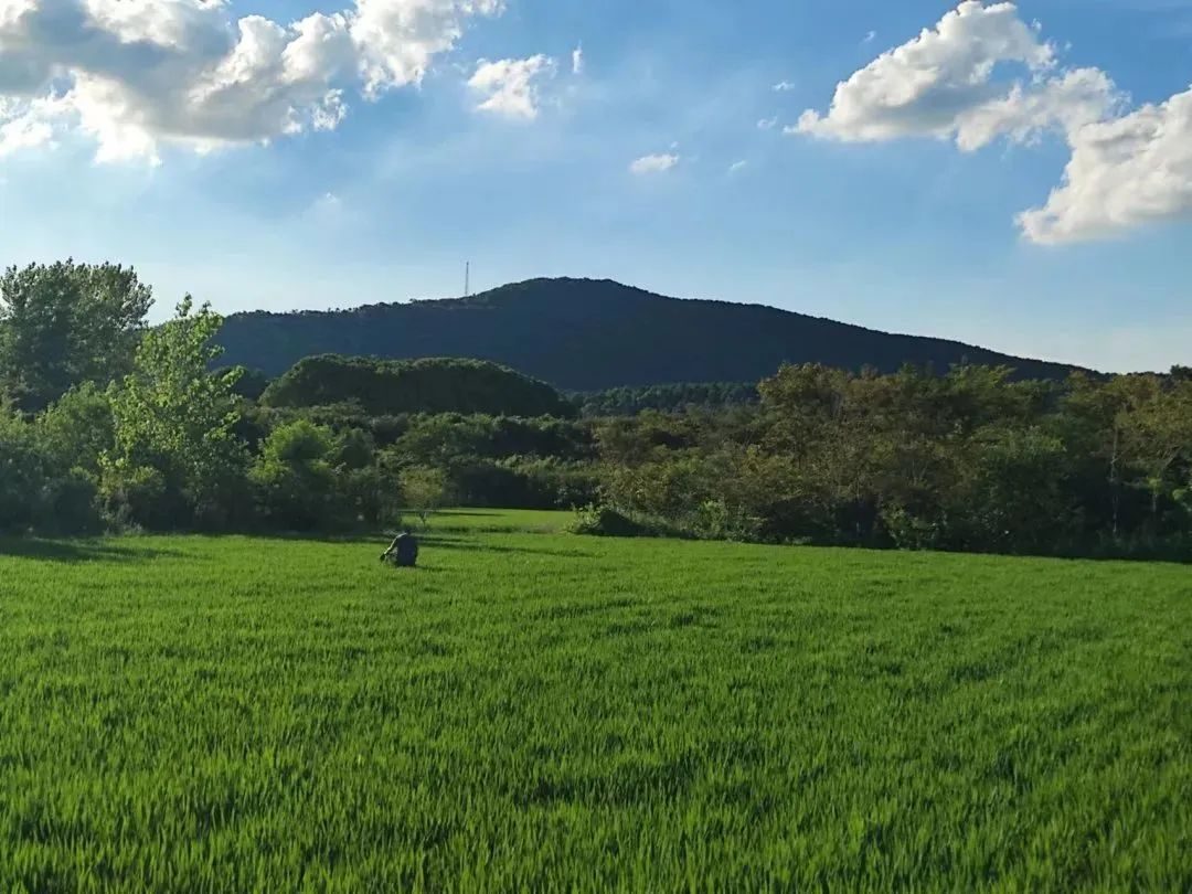 茅山国学文化亲子游,茅山民俗文化艺术