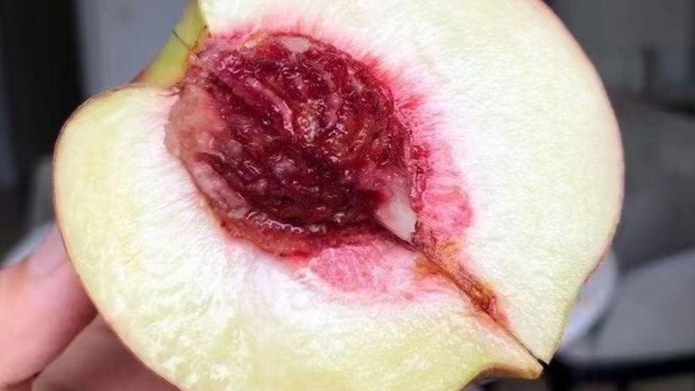 水果店发朋友圈推广语,水果店引流文案朋友圈