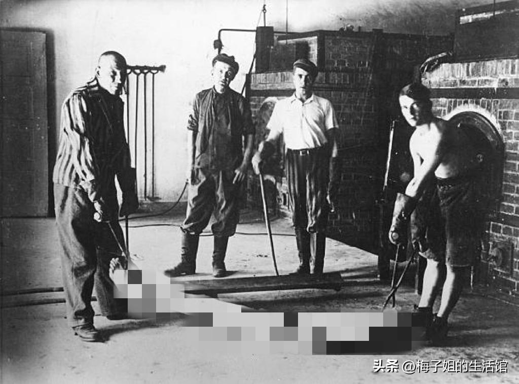 德国纳粹集中营真实影像,纳粹集中营杀了多少人