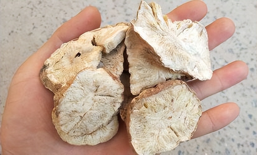 蒲公英八大养生好处,蒲公英用药禁忌