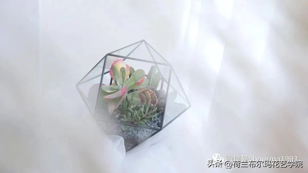 花店的经营技巧有哪些,如果想开一个花店该怎么经营