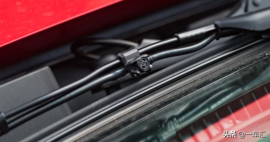 野孩子回归了么,野孩子回归