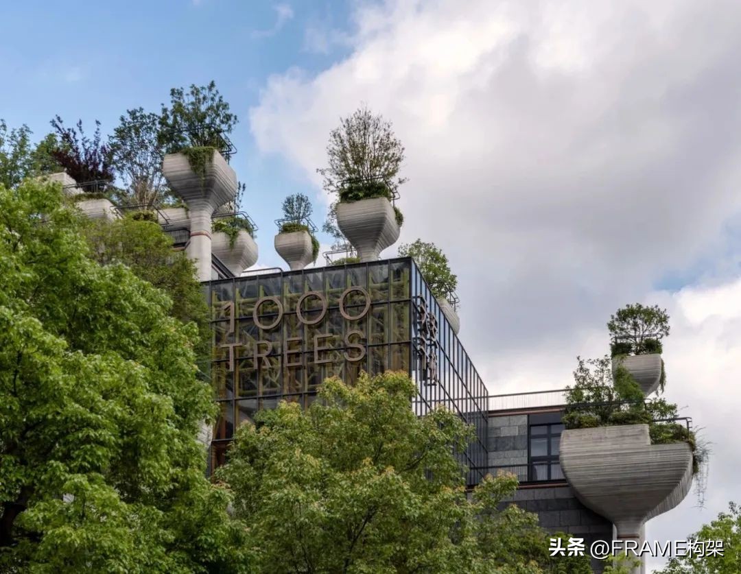 传统购物中心已死新商业如何重塑,购物中心创新的未来方向