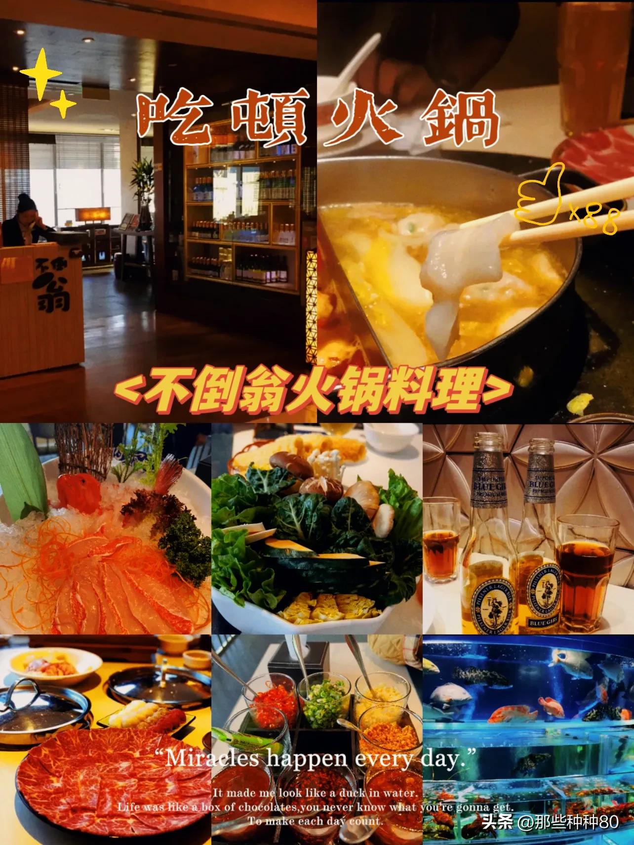 香港美食纪录片,香港美食老字号视频