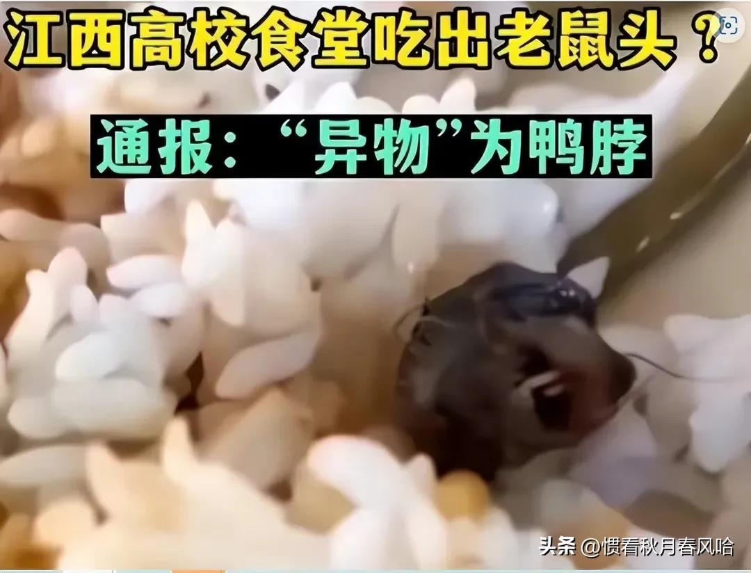 为人师表学高为师是教师什么形象,对于学高为师为人师表的理解