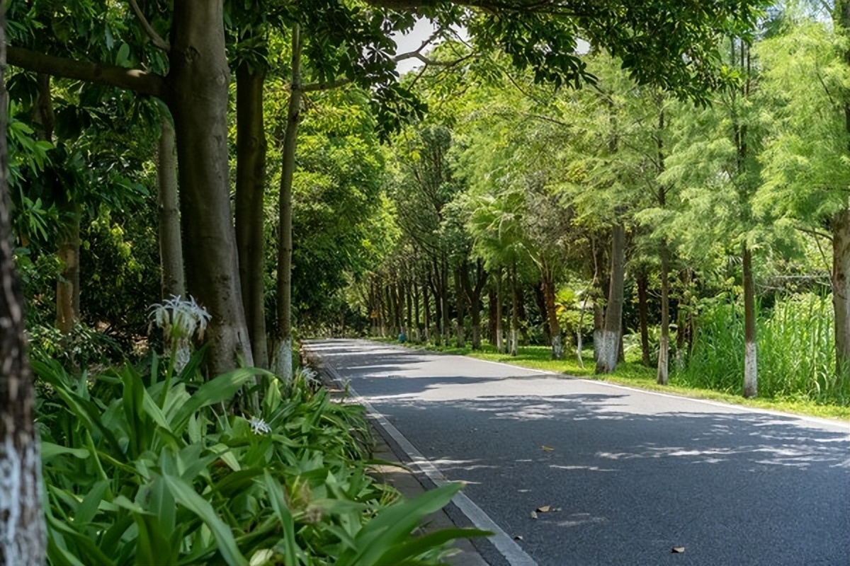 湾区光影魅力,南沙湾区超美风景线