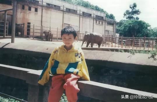 杨孟衡失去双臂的全过程,无臂学霸杨孟衡的故事