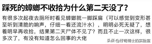 家里踩死的蟑螂，为啥一会儿就自动消失了？