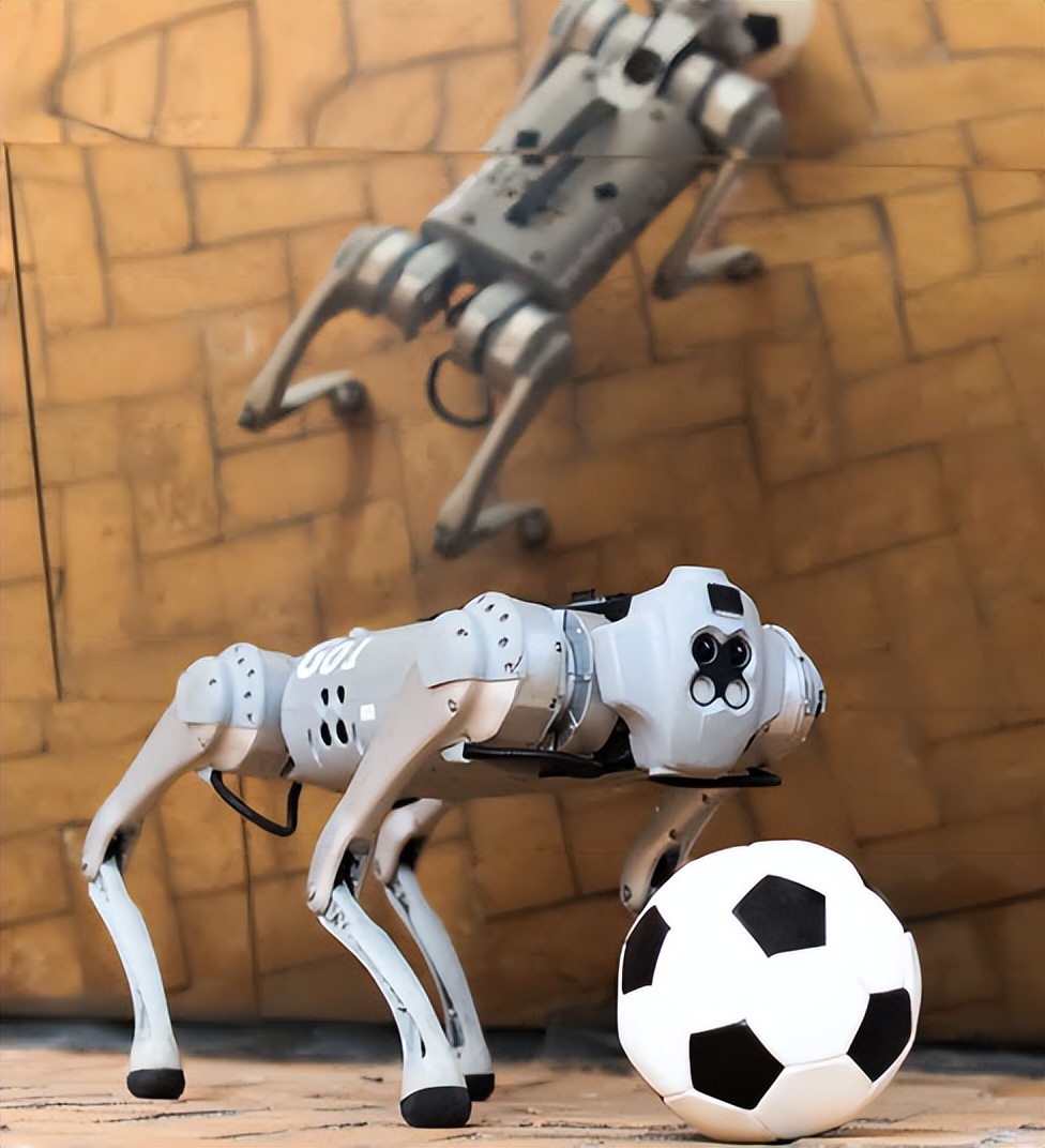 会踢球的都看得出梅西厉害,会踢球的都看得出梅西厉害吗