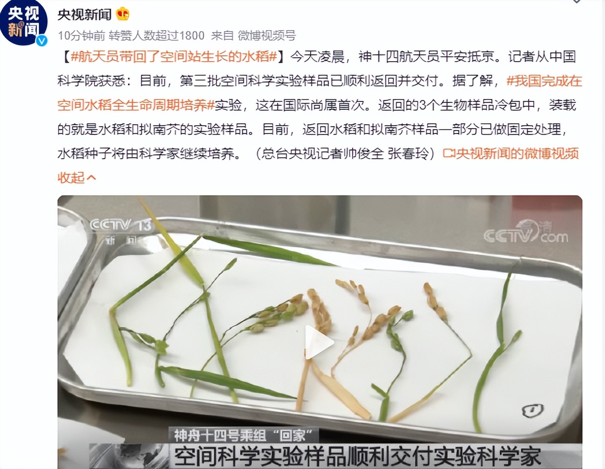 学习重力最好的方法,关于重力教学视频