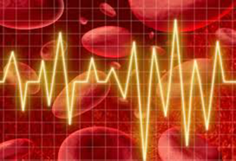 巨蟒吞下的是什么,被巨蟒咬上一口是什么感觉