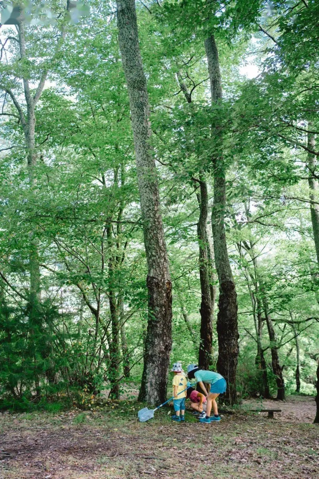 爸爸拍坏人女儿却被偷走完整版,日本爸爸偷拍孩子