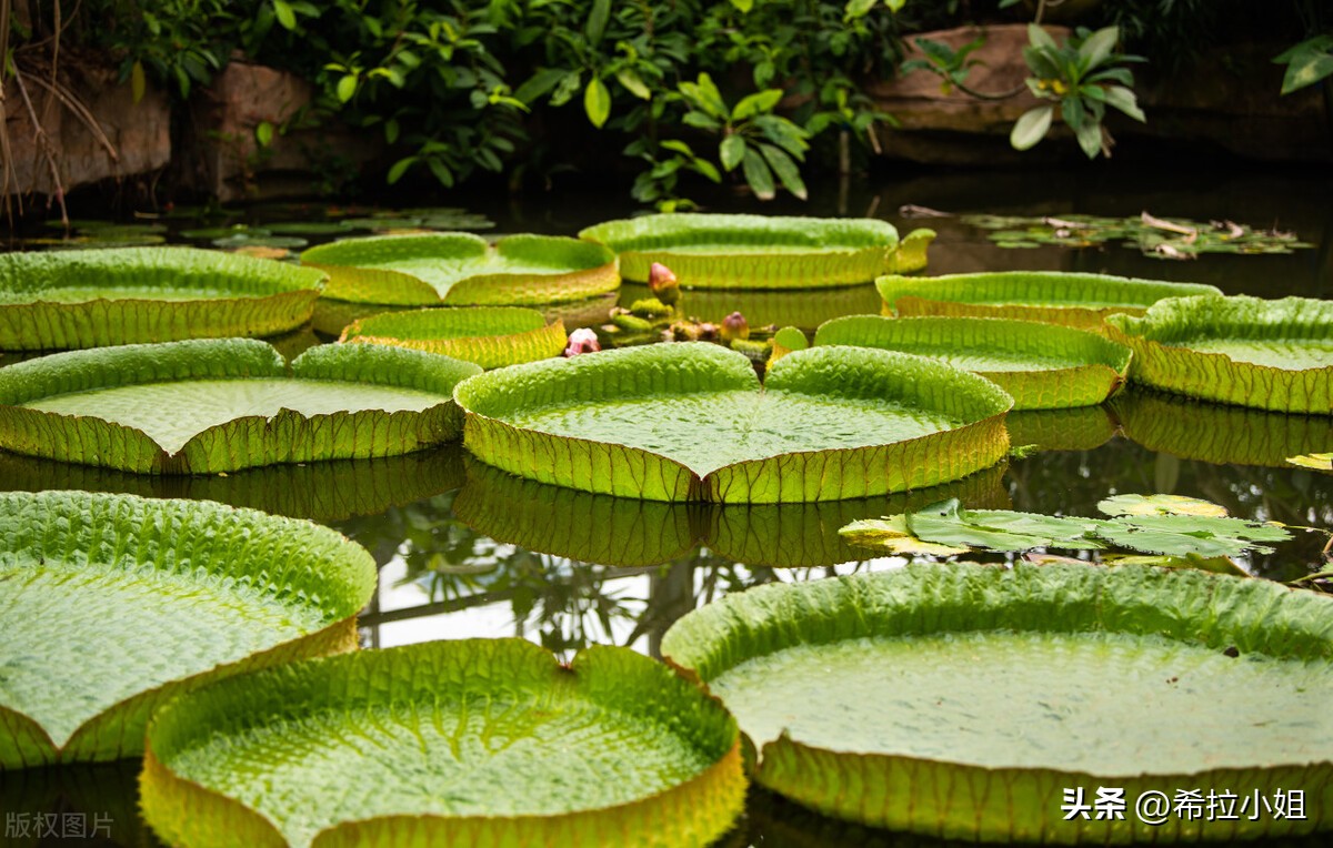 广州最值得去的景点旅游攻略,旅游攻略广州必去的六大景点