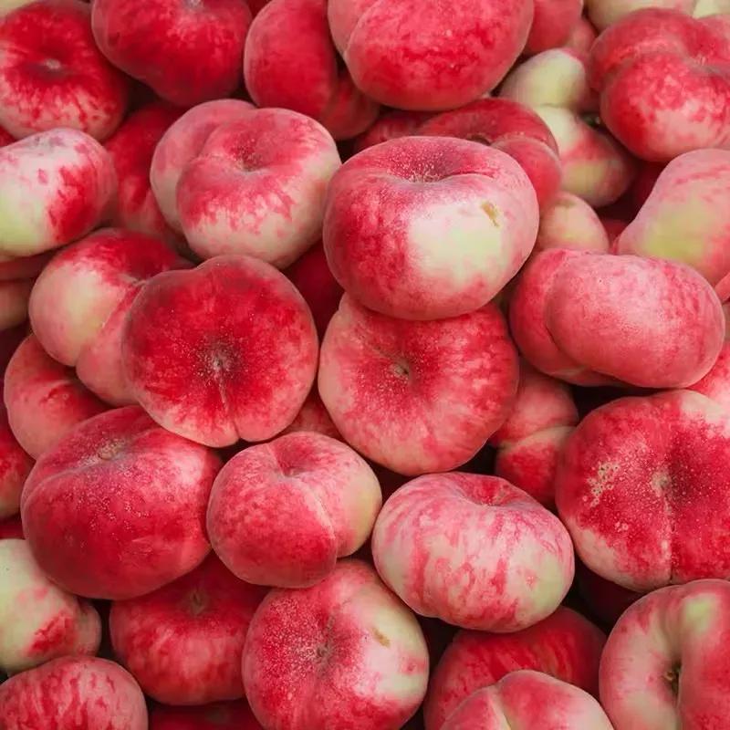 涔℃潙鏁ｆ枃鍥剧墖,锜犳缇庢枃