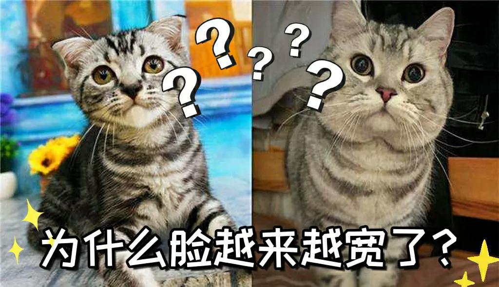 怎样防止脸越来越宽,怎么改善严重的大小脸