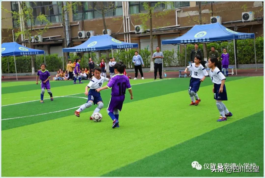 仪陇县新政小学足球联赛2023,仪陇县新政小学第九届足球比赛
