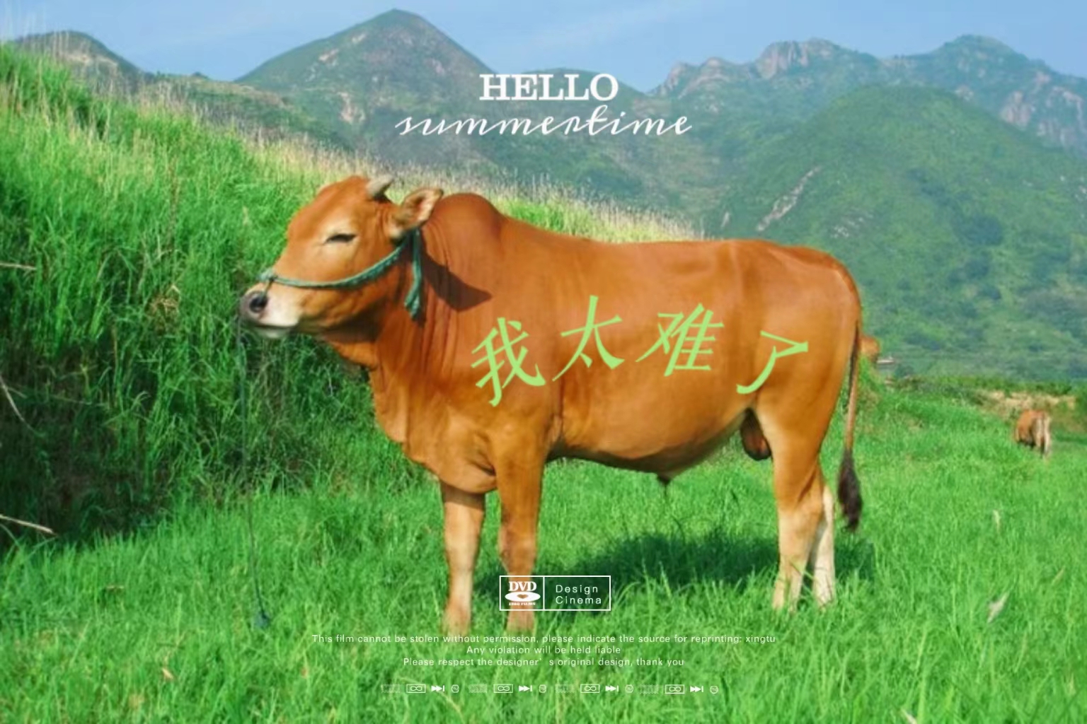 贵州苗族移风易俗,弘扬和传承民俗苗族文化