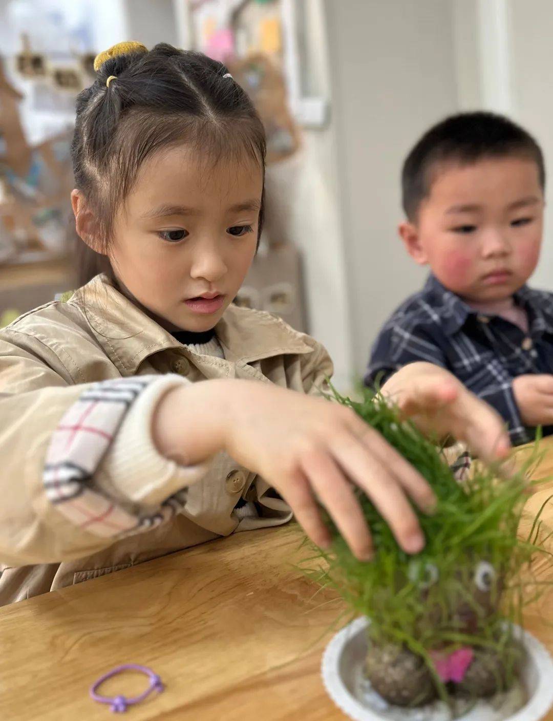 桐乡市庆安乐儿堡幼儿园,浙江省桐乡市庆安乐儿堡幼儿园